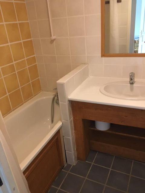 Appartement 4 Personnes Avec Piscine, Wifi, Garage Besse-et-Saint-Anastaise Eksteriør bilde